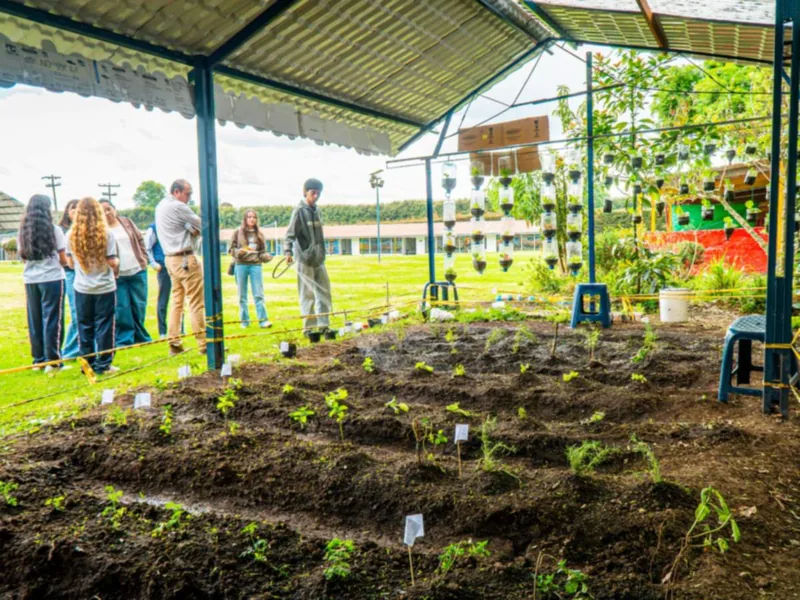 Huerta con plantas recién sembradas bajo una estructura techada; al fondo, personas recorren el campus.